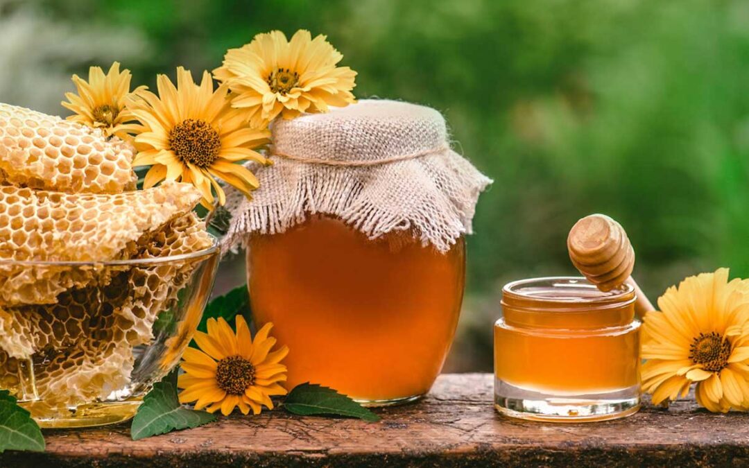 The Power of Natural Honey and Premium Dry Fruits in Daily Nutrition
